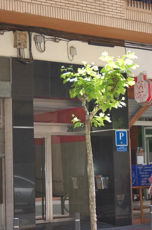 Pension Cinco Villas لوغرونيو المظهر الخارجي الصورة